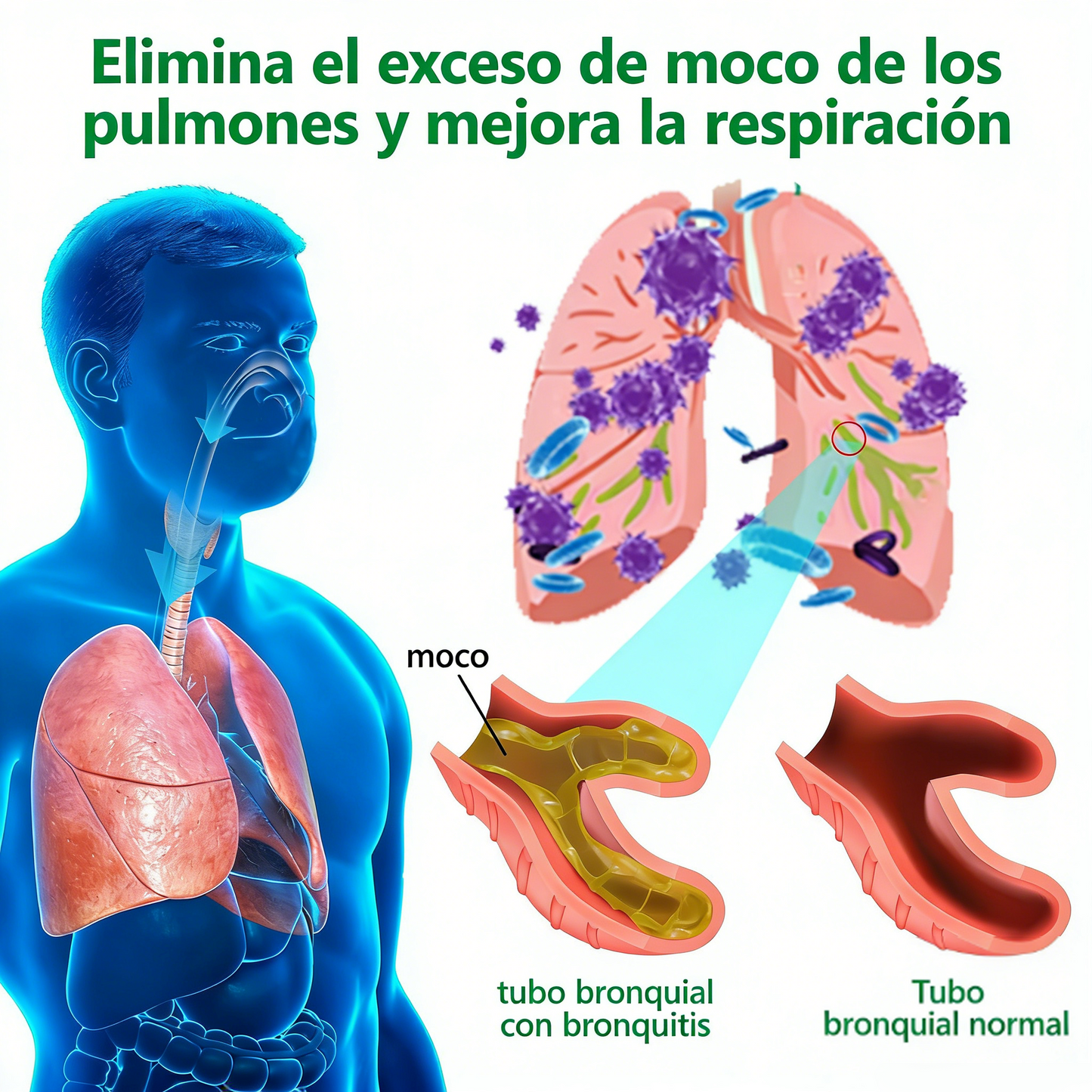 Oficial | Healrize® Limpieza pulmonar orgánica  Gordolobo  Extracto de hoja  Gotas 🎀 Fórmula clínicamente probada y altamente concentrada que alivia la tos, la flema, el asma y la EPOC: respire mejor y más rápido.💎