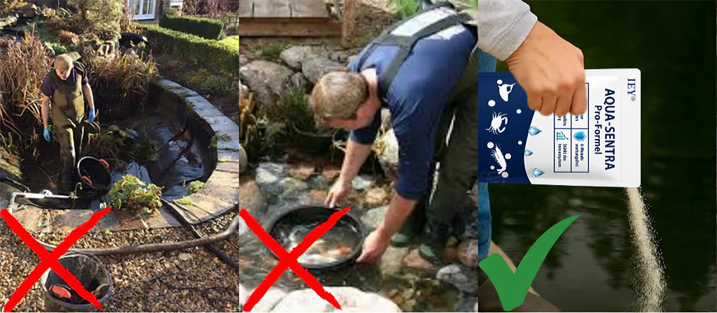 🐟✨IEY® Aqua-Sentra Pro Formel – Algen-Albtraum beenden, Teich-Schönheit schnell wiederherstellen!