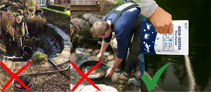 🐟✨IEY® Aqua-Sentra Pro Formel – Algen-Albtraum beenden, Teich-Schönheit schnell wiederherstellen!