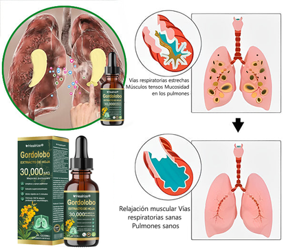 Oficial | Healrize® Limpieza pulmonar orgánica  Gordolobo  Extracto de hoja  Gotas 🎀 Fórmula clínicamente probada y altamente concentrada que alivia la tos, la flema, el asma y la EPOC: respire mejor y más rápido.💎